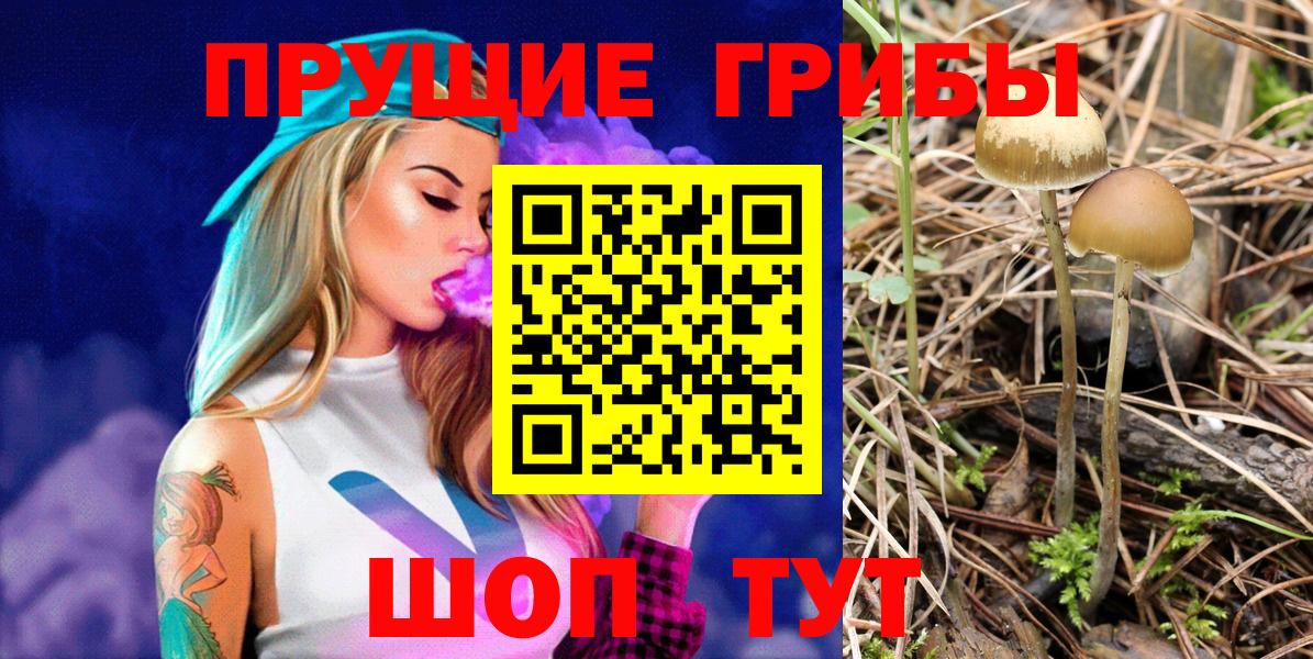 Псилоцибиновые грибы Magic Shrooms  Вход с VPN  Псилоцибиновые грибы GOLDEN TEACHER  Кыштым 